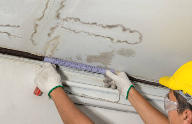 Reliable Sewage Cleanup contractor in Paden City, WV by Water Damage Irwin